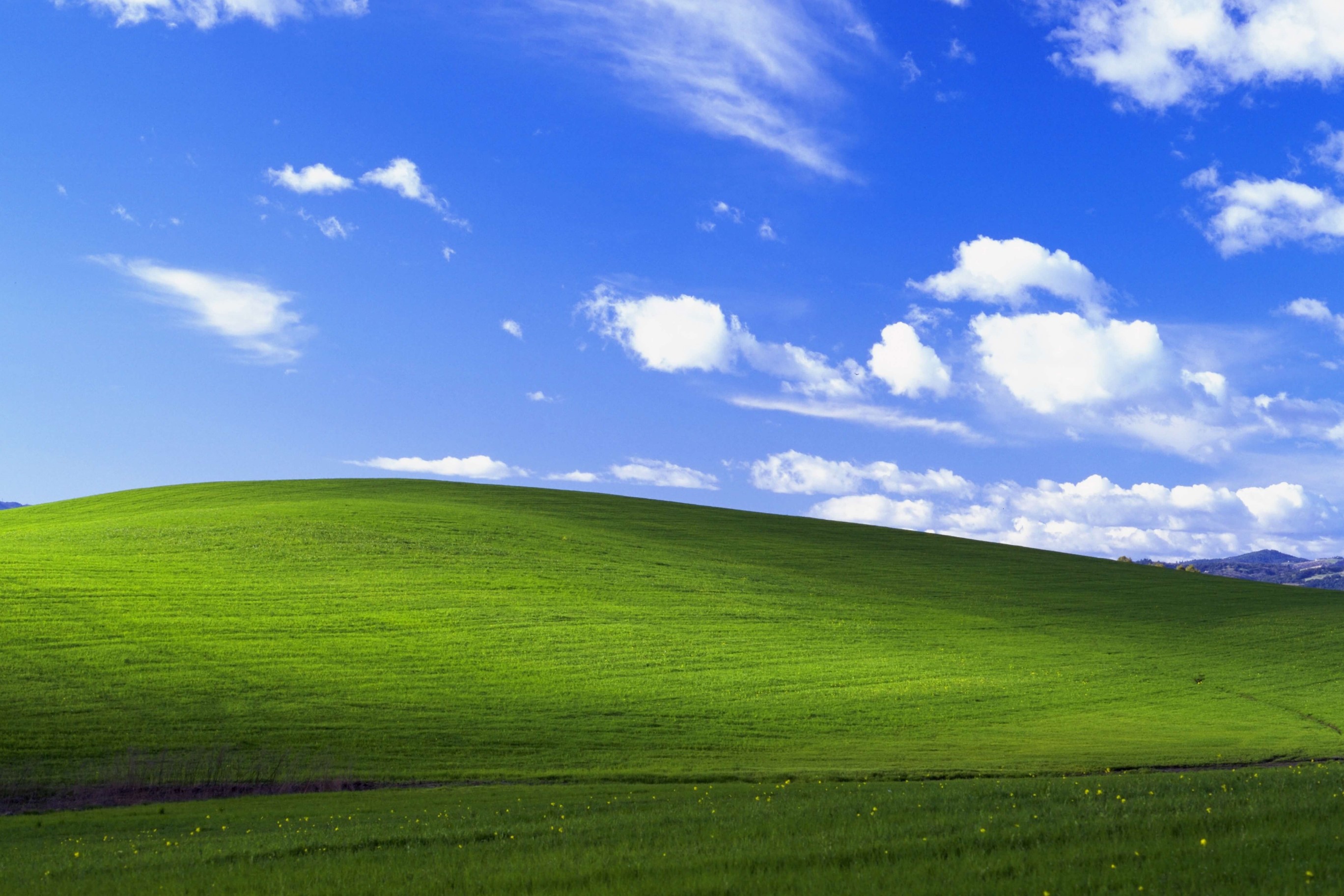 Fond d'écran de base Windows XP